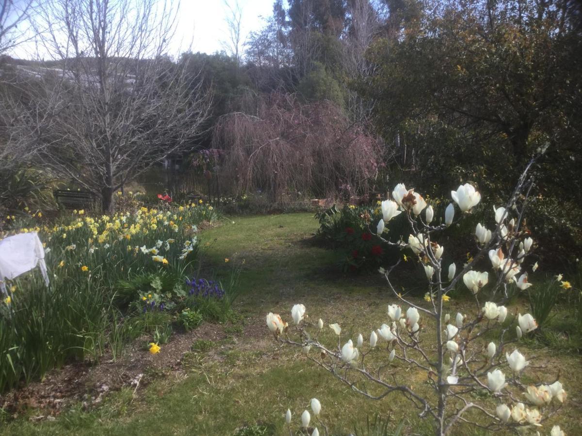 Mapua Garden B & B Εξωτερικό φωτογραφία