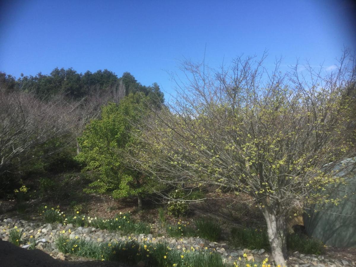 Mapua Garden B & B Εξωτερικό φωτογραφία