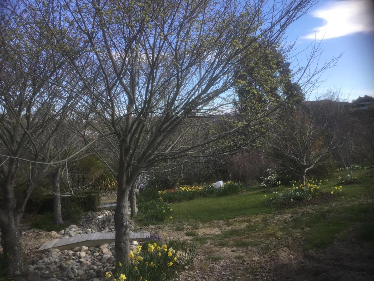Mapua Garden B & B Εξωτερικό φωτογραφία